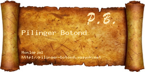 Pilinger Botond névjegykártya